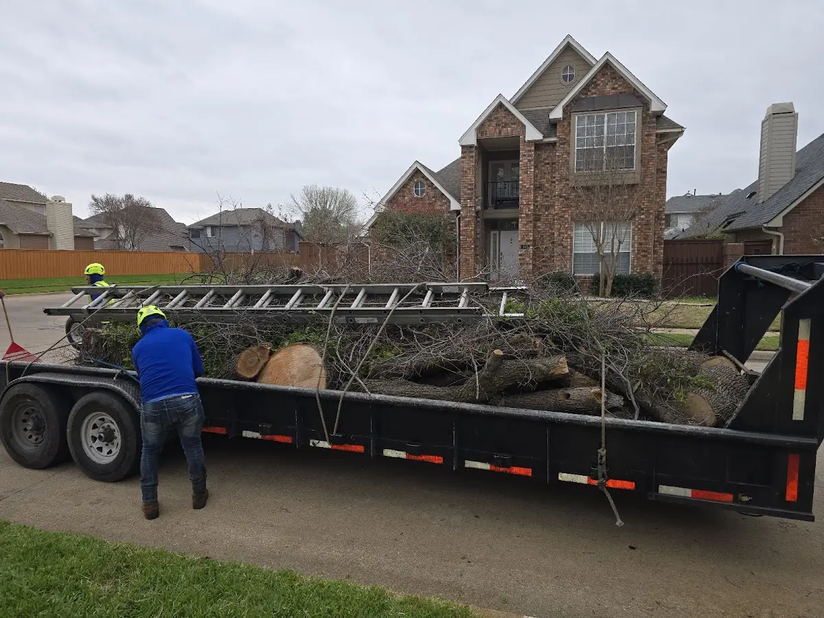 Expert Tree Removal with proper safety equipment in Union Furnace